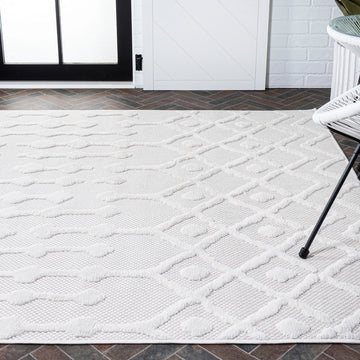 Peralta Moroccan Diamond Indoor/outdoor Area Rug